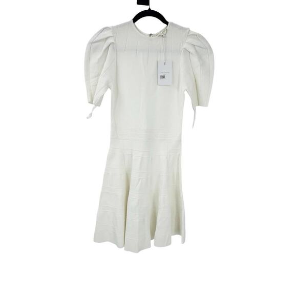 Ted Baker Short Puffed Sleeve Engineered Skirt Dress Crewneck Size 1/ XS NWT - Picture 14 of 14